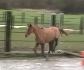 Véga - saut en liberté