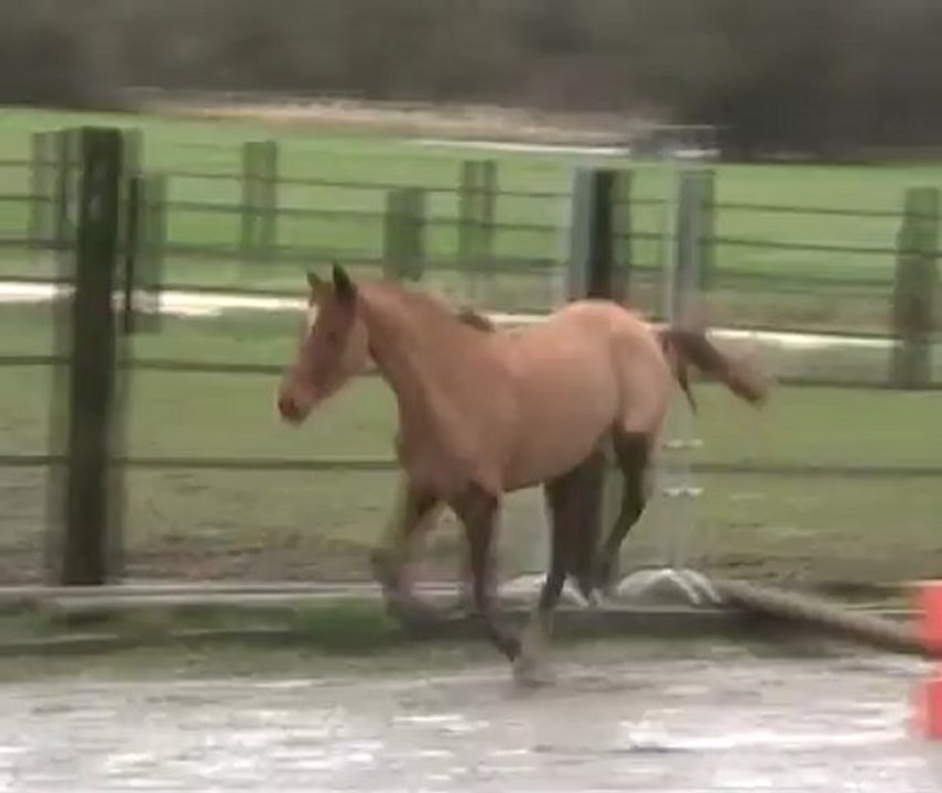 Véga - saut en liberté