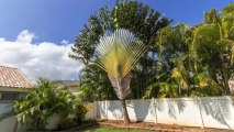 91-1508 Keonekapu St, Ewa Beach, HI