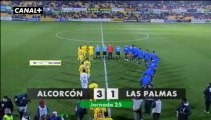 Liga Adelante  Alcorcón  3 Las Palmas 1