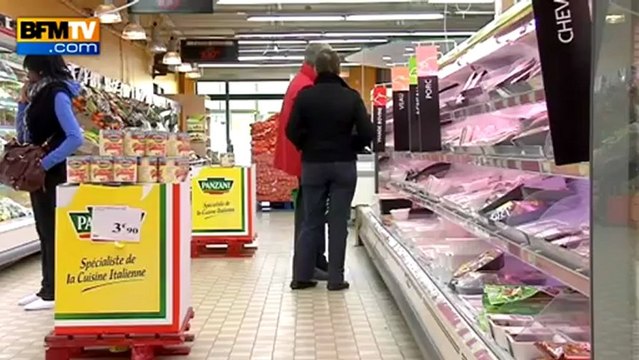 Lasagnes au cheval : la traçabilité de la viande en question 11/02