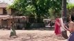 Naiyn Tere Video Song - Khelein Hum Jee Jaan Sey - Abhishek Bachchan Deepika Padukone Shreeji
