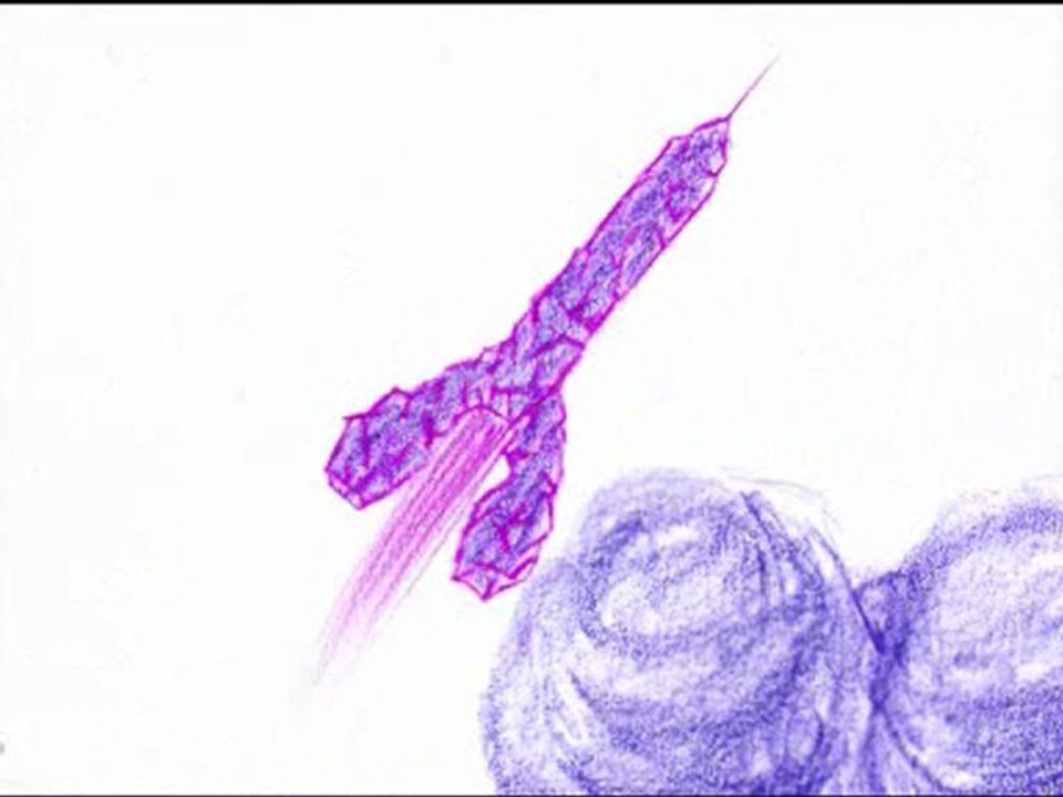 Les bulles de savon - olivier marais