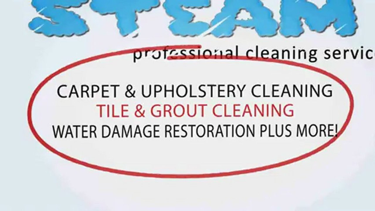 Area Rug Cleaning Company - Windy City Steam - Woodridge, IL