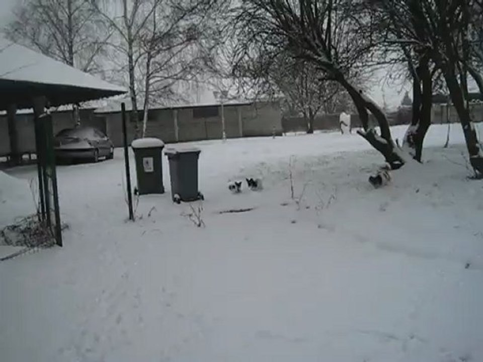 Mes bibis dans la neige