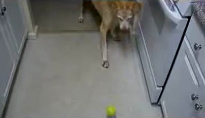 합법카지노☢❂▣ B­A­C­6­6­6.c­o­m ◁❂☢정통카‍지노