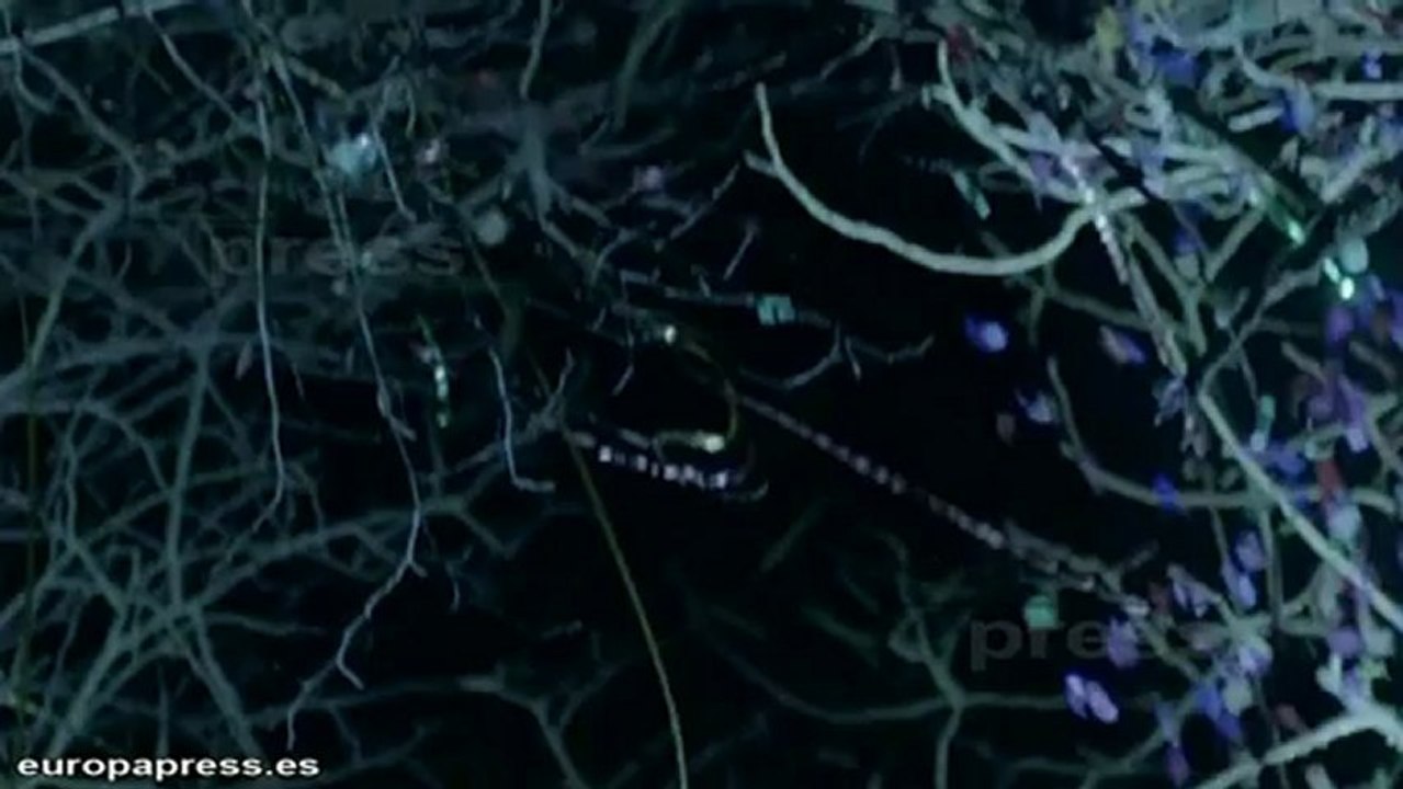 Pablo Alborán lanza 'El Beso'