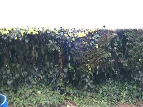 neige à st laurent du var