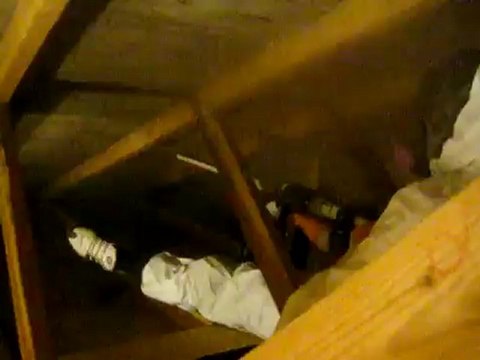 Toronto Dry Ice Blasting - Dry Ice Blasting Mold From Attic