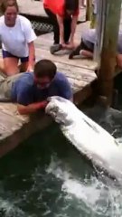 La pêche artisanale