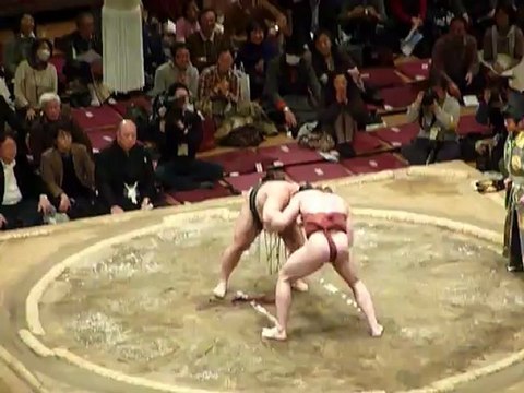 37ième Tournoi de Sumo à Tokyo - Combat de Sumo 2