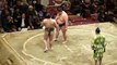 37ième Tournoi de Sumo à Tokyo - Combat Comique de Sumo