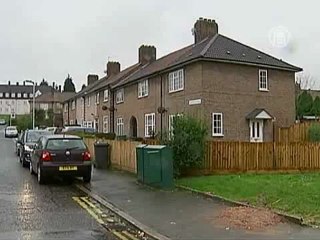 В Лондоне лиса вытащила младенца из колыбели