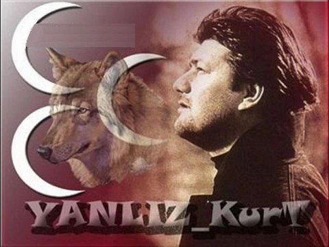 AHMET ŞAFAK yalnız kurt