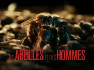 Des Abeilles et des Hommes...(Teaser)