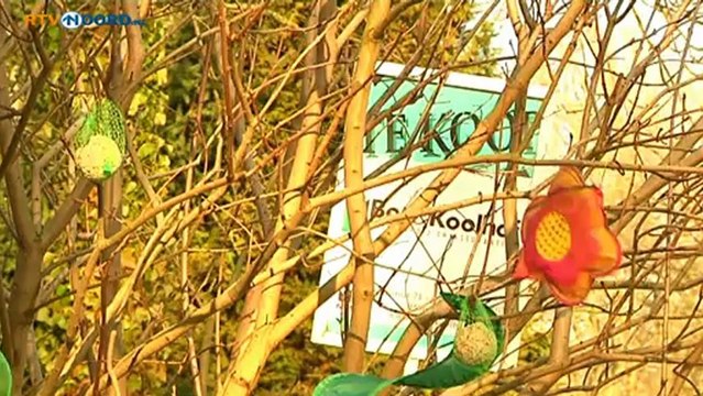 Te koop: huis in aardbevingsgebied - RTV Noord