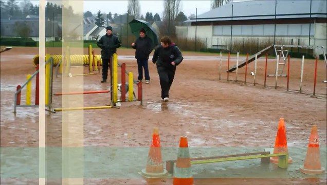 stage agility dove fevrier 2013