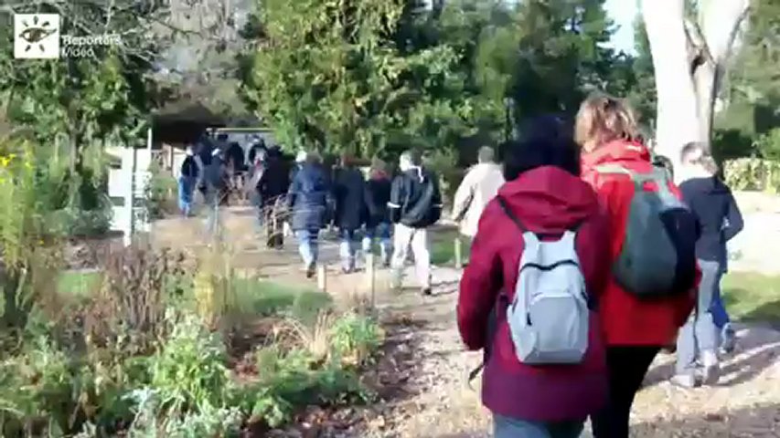 Reporters Vidéo Téléthon (2013)