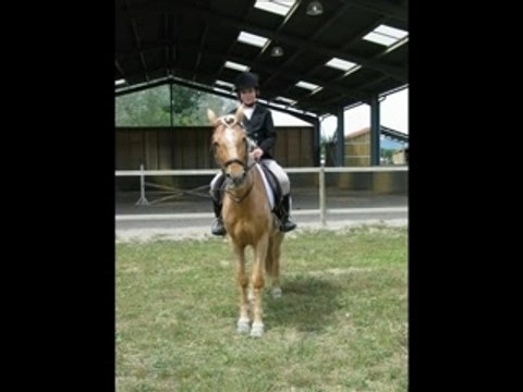 Sandra Ulysse CSO 21 05 2006