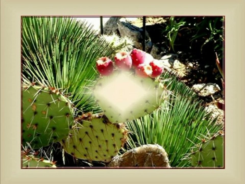 Eze Village - Alpes-Maritimes
