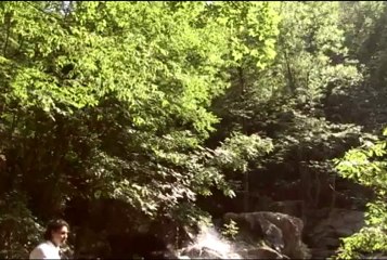 Ahmet Gültekin - Yaban Gülüm