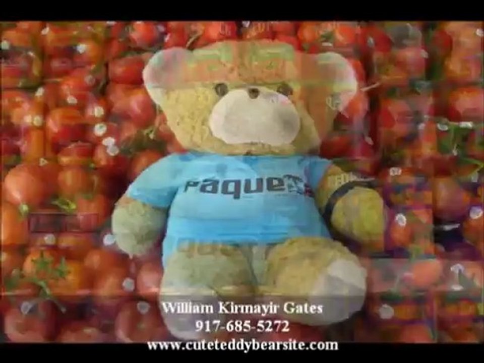 Teddy Bear Stories | Books for Children