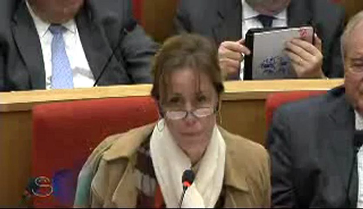 Sénat -  Table ronde coopération et développement (Part 2)