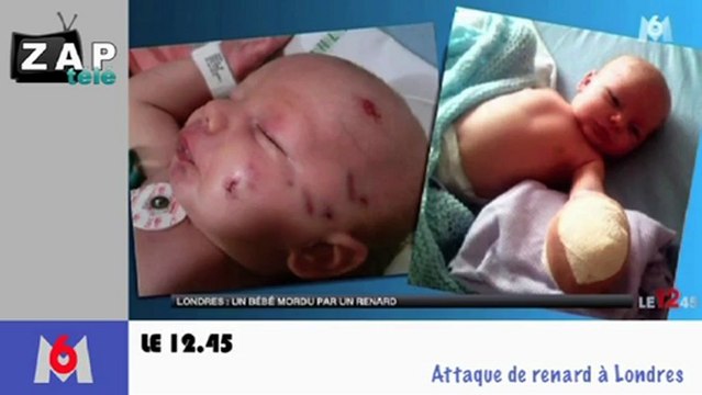 Zapping Actu du 12 Février 2013 - Un scandale de cheval, Attaques de renards à Londres