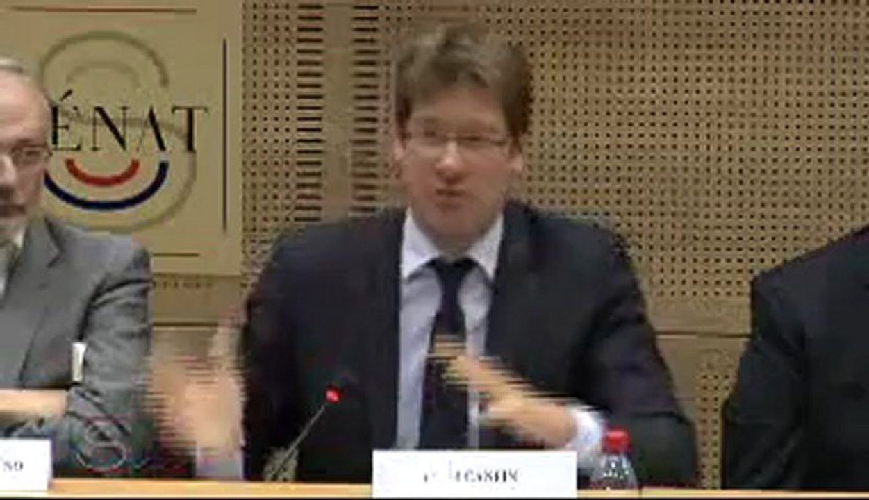 Sénat - Table ronde coopération et développement (Part 1)