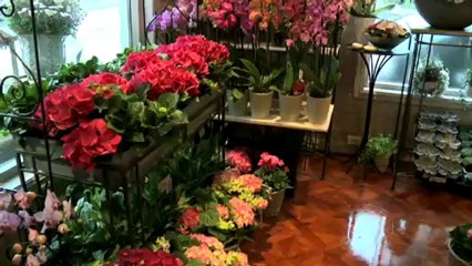 Blomsterforretning Bergen A Jensen Blomster AS