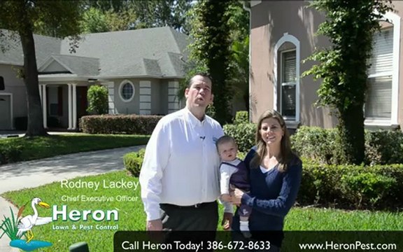 Palm Coast Pest Control: Call (386) 672-8633