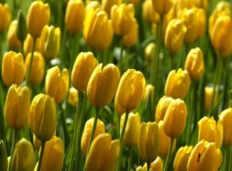 생방송바카라（◐◐vip933.com◑◑）생방송바카라