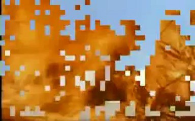 Apocalipsis La Ultima Palabra de Dios