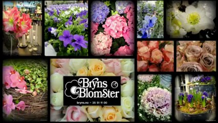 Blomsterforretning Porsgrunn Bryns Blomster AS