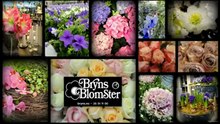 Blomsterforretning Porsgrunn Bryns Blomster AS