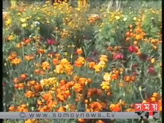 নার্সারি বদলালো অনিতা রানীর ভাগ্য