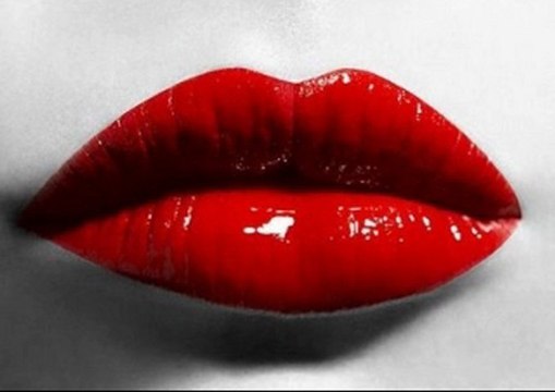 정통카지노╋▦▦vip933.com▦▦╋정통카지노