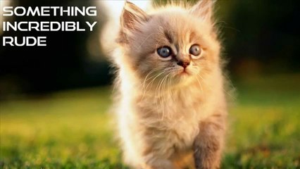 Daft Punk - Make Love (HLM Remix)