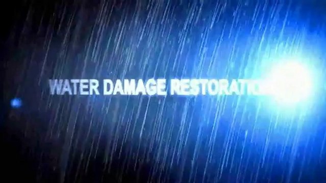 Water Damage Restoration Services in Woodridge, IL - Windy City Steam Carpet Cleaning