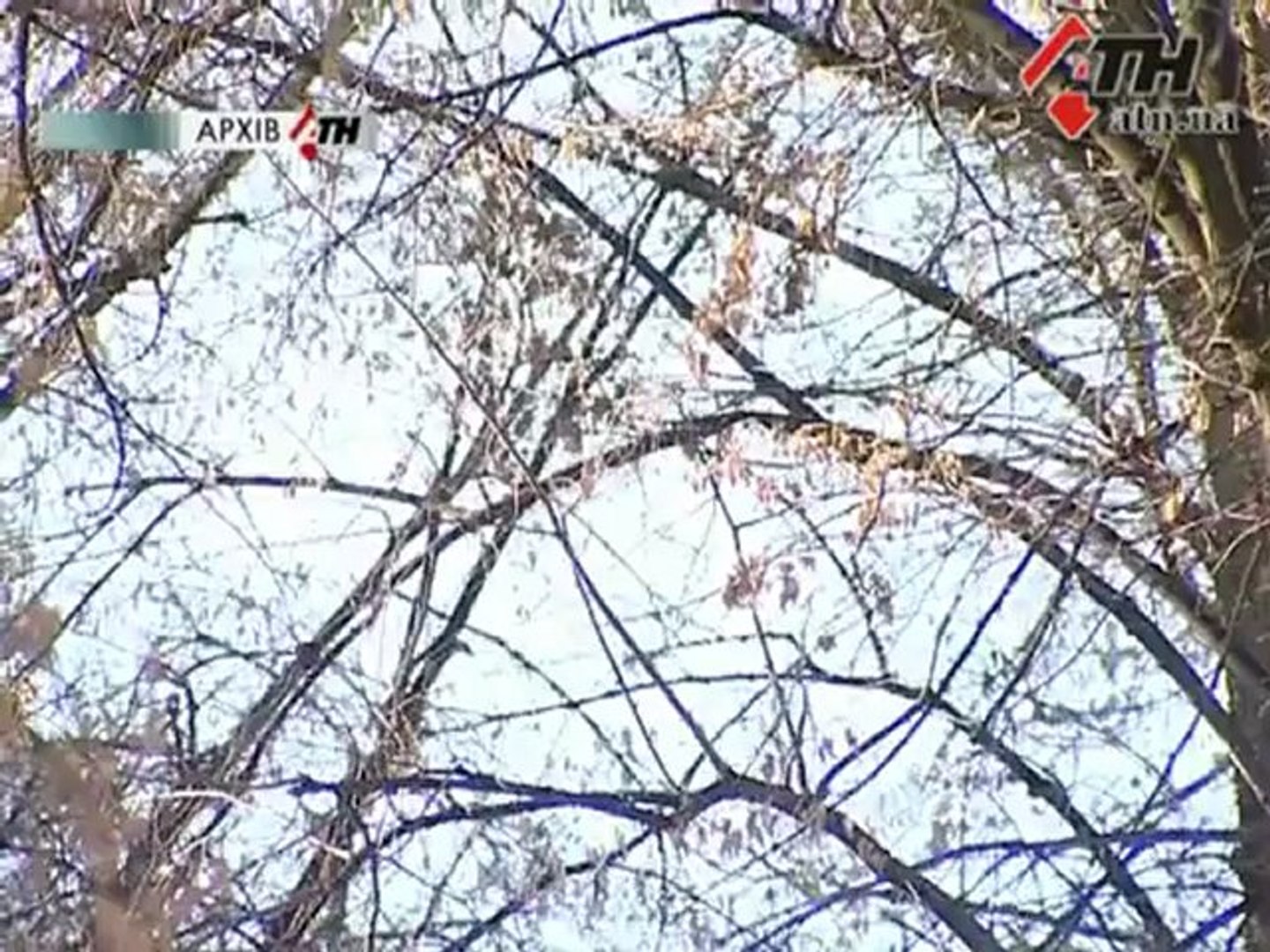 Новости АТН - 11.02.13