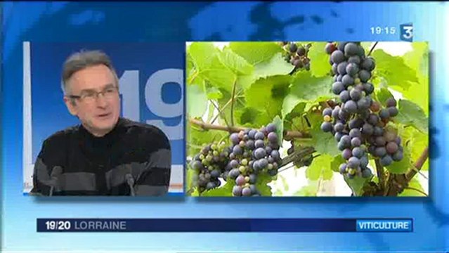 F3L-20130211-soir ITV JM Mangeot