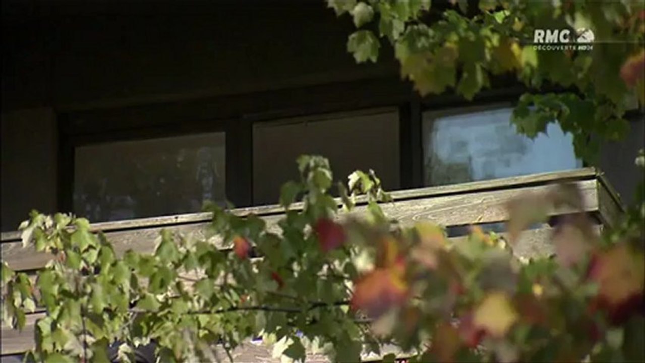 les nouveaux Espions 1 : Crimes et Assassinats,  les ESPIONS sont  les nouveaux Juges, Jurés et Bourreaux .............