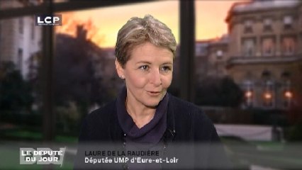Le Député du Jour : Laure de La Raudière