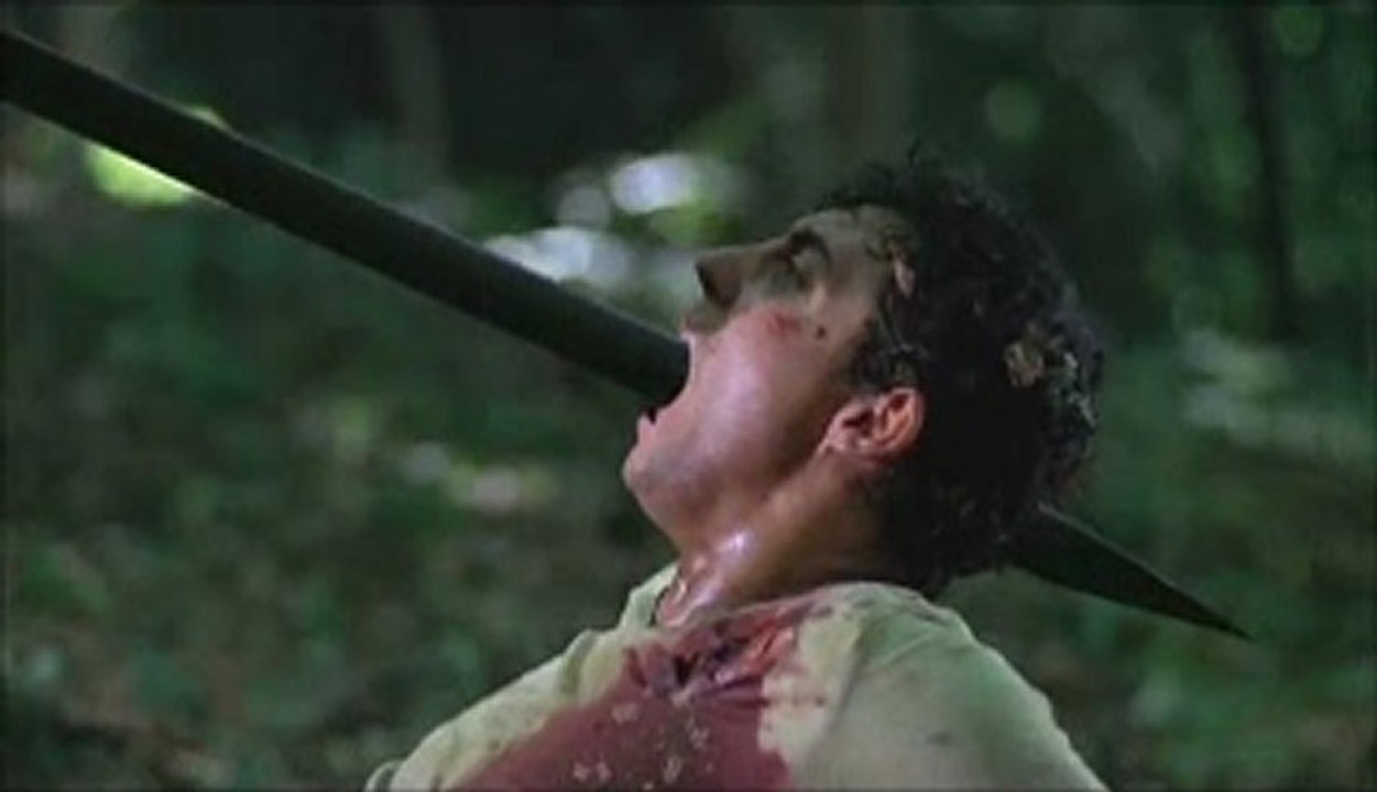 Wrong Turn 3 Left for Dead watch online www.hdmoviespool.com