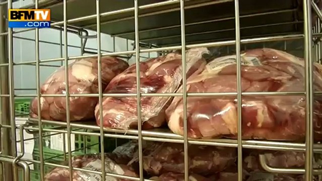 Affaire des lasagnes : la traçabilité de la viande dans les cantines en question - 12/02
