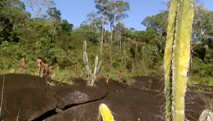 Amazonia, Última llamada (02) Aislados