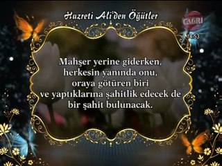 Hz. Ali'den Öğütler