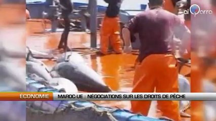 Maroc-UE : négociations sur les droits de pêches