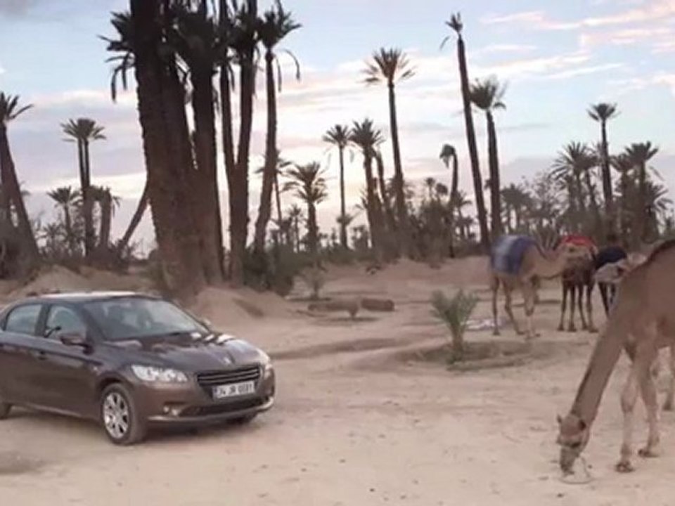 Peugeot Route 301 - Maroc J1 - South Route, Etape 9 ( www.feline.cc )