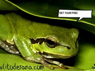 Sana sana Culito de rana